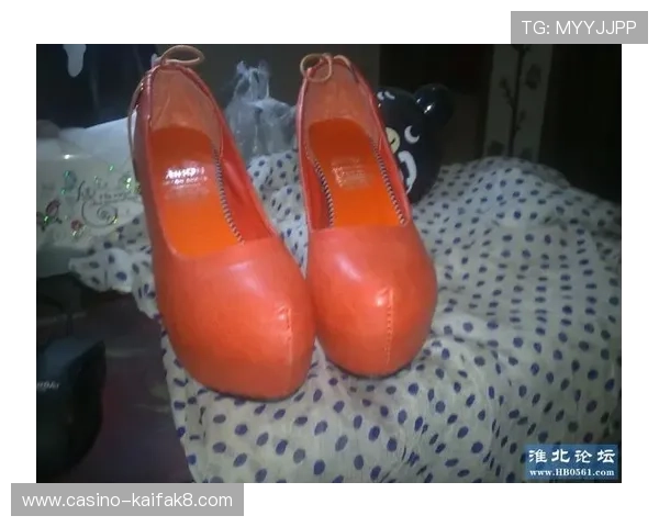 凯发网网站登录入口官网官方入口快速登录步骤详解